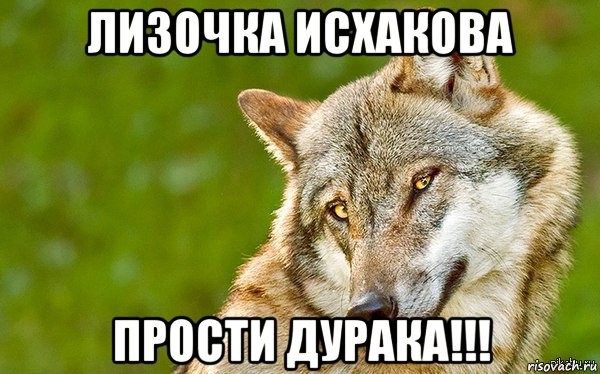 лизочка исхакова прости дурака!!!, Мем   Volf