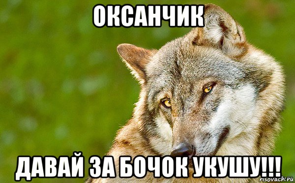 оксанчик давай за бочок укушу!!!, Мем   Volf