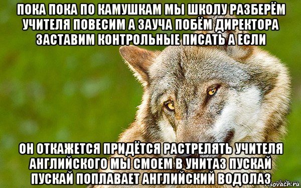 пока пока по камушкам мы школу разберём учителя повесим а зауча побём директора заставим контрольные писать а если он откажется придётся растрелять учителя английского мы смоем в унитаз пускай пускай поплавает английский водолаз, Мем   Volf