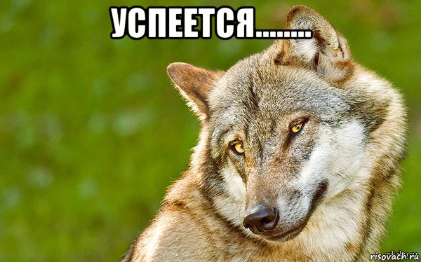 успеется........ 