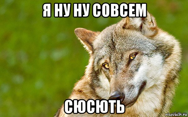 я ну ну совсем сюсють, Мем   Volf