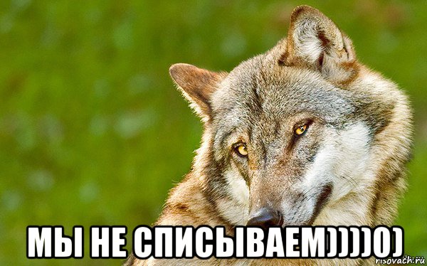  мы не списываем))))0), Мем   Volf