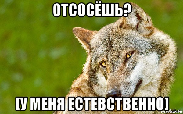 отсосёшь? [у меня естевственно]