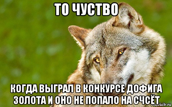 то чуство когда выграл в конкурсе дофига золота и оно не попало на счсёт, Мем   Volf