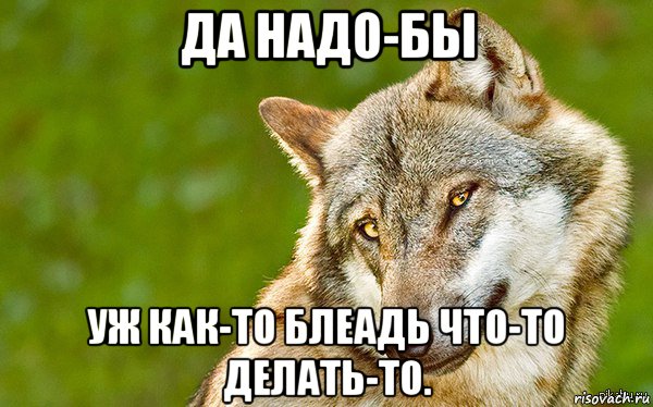 да надо-бы уж как-то блеадь что-то делать-то., Мем   Volf