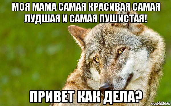 моя мама самая красивая самая лудшая и самая пушистая! привет как дела?