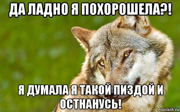 да ладно я похорошела?! я думала я такой пиздой и остнанусь!, Мем   Volf