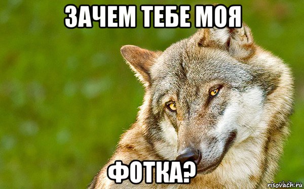 зачем тебе моя фотка?, Мем   Volf