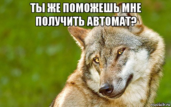 ты же поможешь мне получить автомат? , Мем   Volf