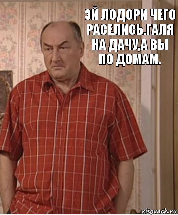 Эй лодори чего раселись.Галя на дачу,а вы по домам., Комикс Николай Петрович Воронин