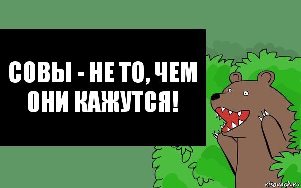 Совы - не то, чем они кажутся!, Комикс Надпись медведя из кустов