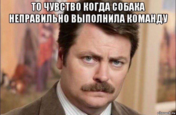 то чувство когда собака неправильно выполнила команду , Мем  Я человек простой