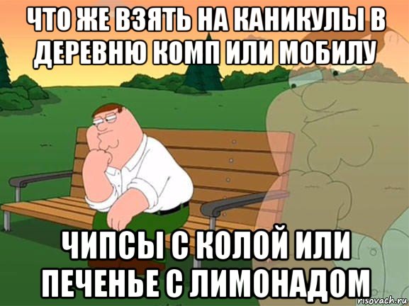 что же взять на каникулы в деревню комп или мобилу чипсы с колой или печенье с лимонадом, Мем Задумчивый Гриффин