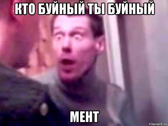 кто буйный ты буйный мент, Мем Запили