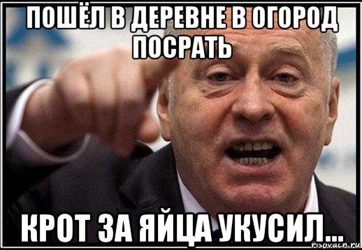 пошёл в деревне в огород посрать крот за яйца укусил..., Мем жириновский ты