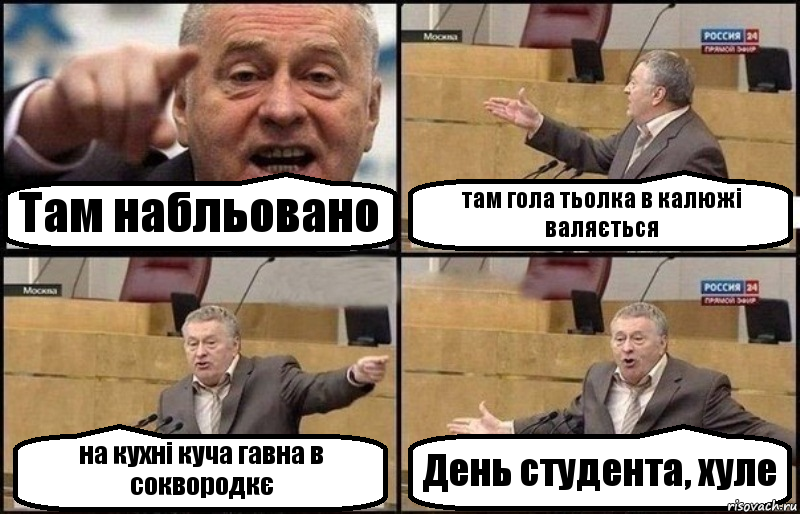 Там набльовано там гола тьолка в калюжі валяється на кухні куча гавна в соквородкє День студента, хуле, Комикс Жириновский