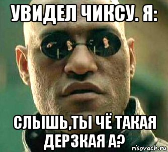 увидел чиксу. я: слышь,ты чё такая дерзкая а?, Мем  а что если я скажу тебе