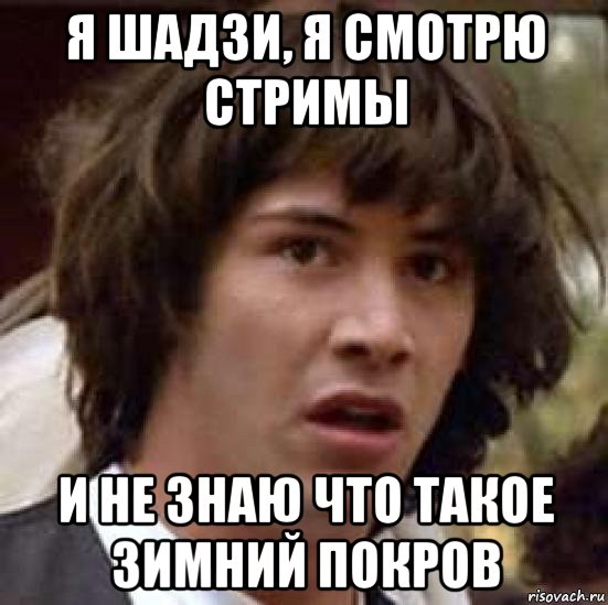 я шадзи, я смотрю стримы и не знаю что такое зимний покров, Мем А что если (Киану Ривз)