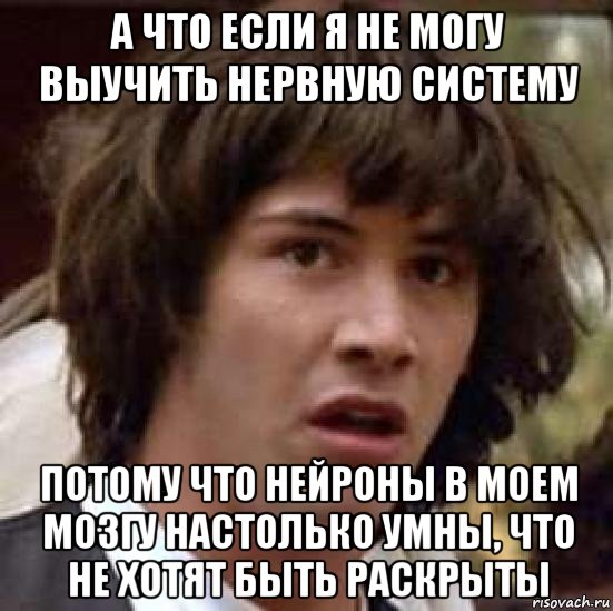 а что если я не могу выучить нервную систему потому что нейроны в моем мозгу настолько умны, что не хотят быть раскрыты, Мем А что если (Киану Ривз)