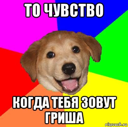 то чувство когда тебя зовут гриша, Мем Advice Dog