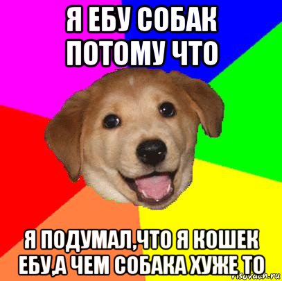 я ебу собак потому что я подумал,что я кошек ебу,а чем собака хуже то, Мем Advice Dog