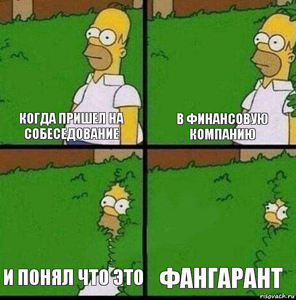 когда пришел на собеседование в финансовую компанию и понял что это фангарант