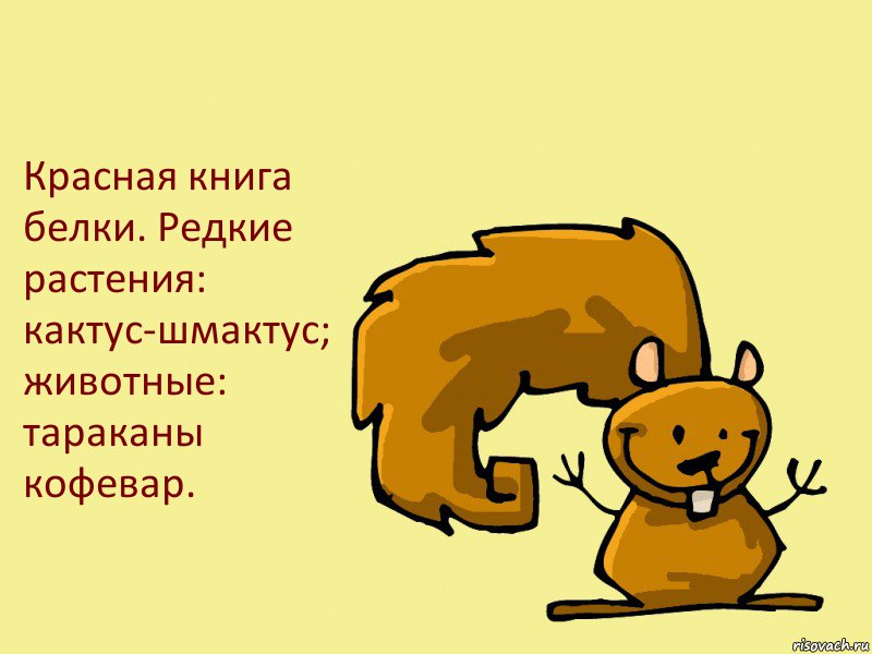 Красная книга белки. Редкие растения: кактус-шмактус; животные: тараканы кофевар.