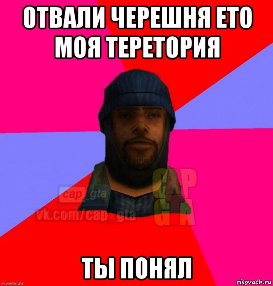 отвали черешня ето моя теретория ты понял, Мем   Бомжcapgta