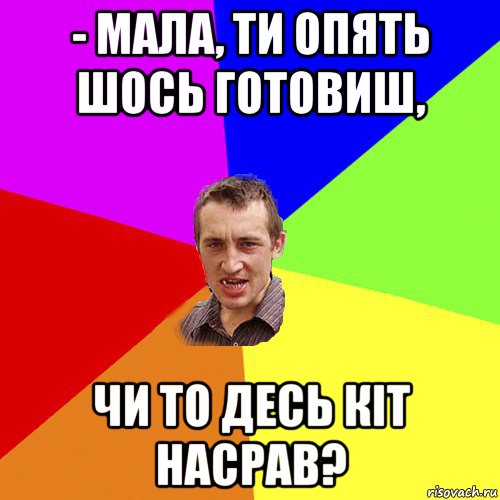 - мала, ти опять шось готовиш, чи то десь кіт насрав?, Мем Чоткий паца