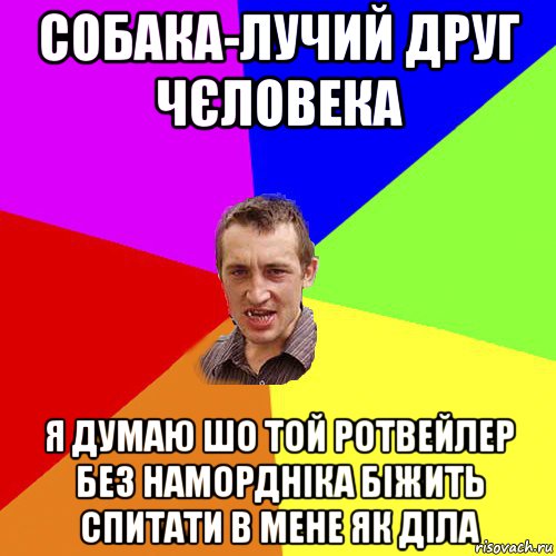 собака-лучий друг чєловека я думаю шо той ротвейлер без намордніка біжить спитати в мене як діла, Мем Чоткий паца