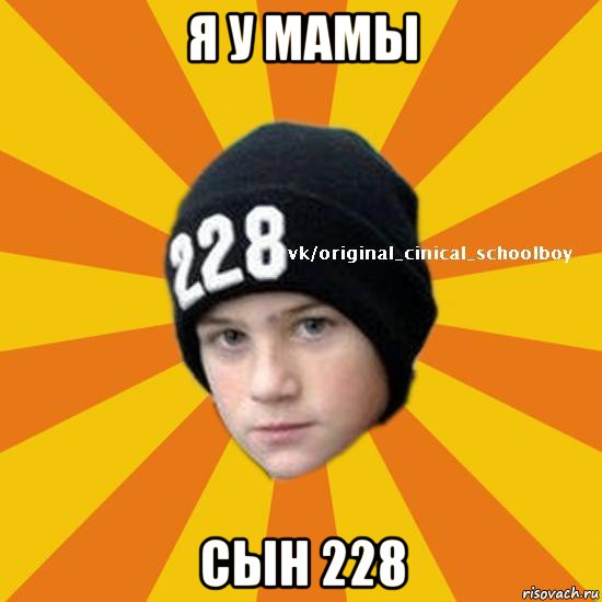 я у мамы сын 228, Мем  Циничный школьник