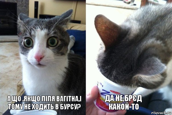 А що ,якщо лiля вагітна,і тому не ходить в бурсу? Да не,брєд какой-то, Комикс  Да не бред-какой-то (2 зоны)