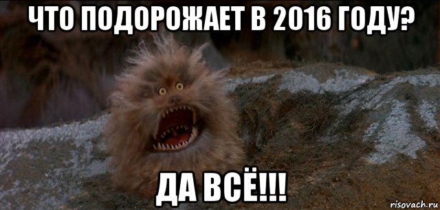 что подорожает в 2016 году? да всё!!!, Мем да вы тут все ебанулись