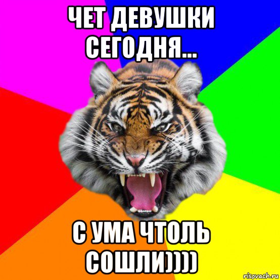 чет девушки сегодня... с ума чтоль сошли)))), Мем  ДЕРЗКИЙ ТИГР