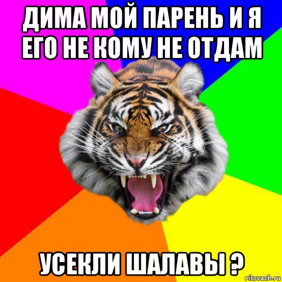 дима мой парень и я его не кому не отдам усекли шалавы ?, Мем  ДЕРЗКИЙ ТИГР