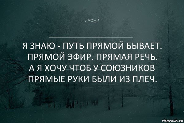 Я знаю - путь прямой бывает. прямой эфир. прямая речь.
а я хочу чтоб у союзников прямые руки были из плеч., Комикс Игра слов 5