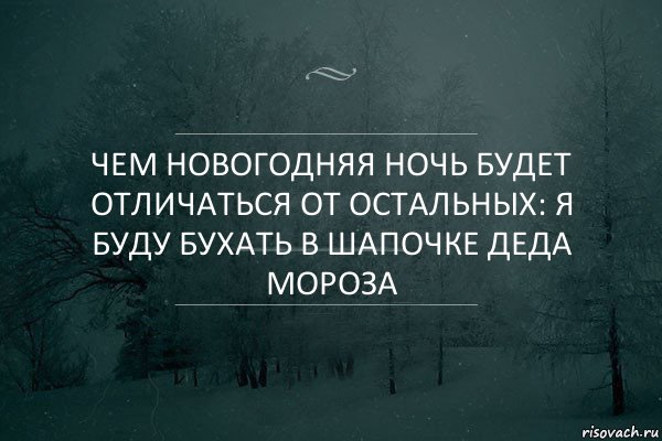 Чем новогодняя ночь будет отличаться от остальных: я буду бухать в шапочке деда мороза, Комикс Игра слов 5