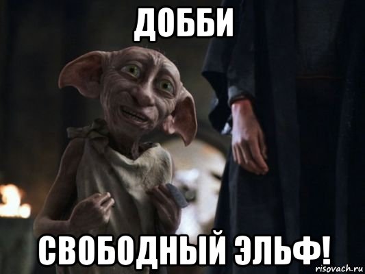 добби свободный эльф!, Мем   Добби