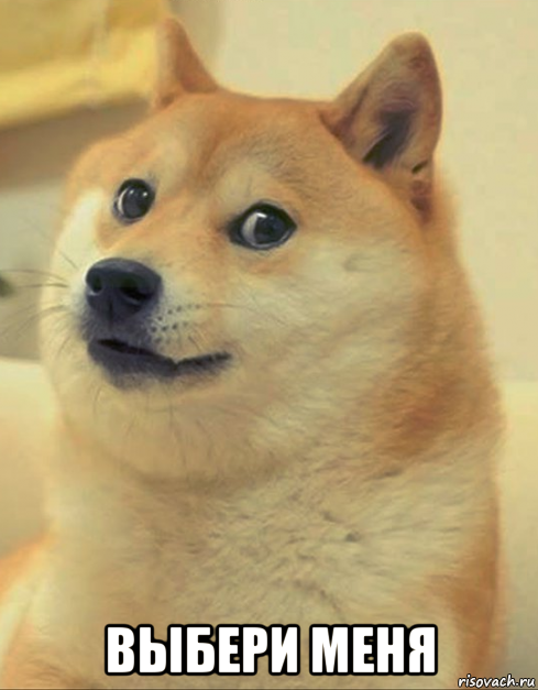  выбери меня, Мем doge woof