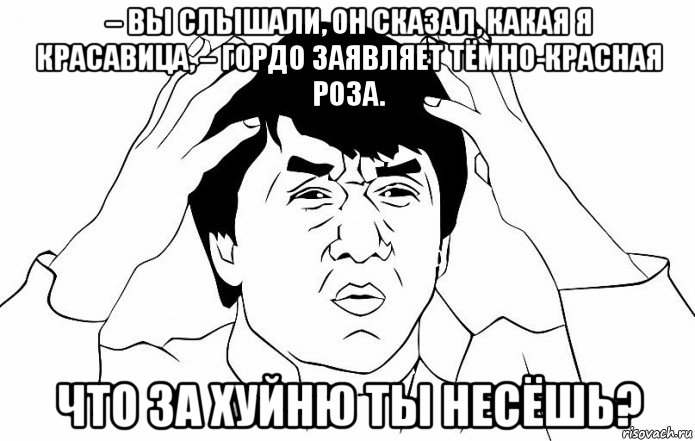 – вы слышали, он сказал, какая я красавица, – гордо заявляет тёмно-красная роза. что за хуйню ты несёшь?, Мем ДЖЕКИ ЧАН