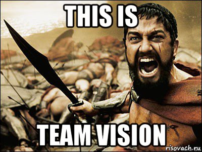 this is team vision, Мем Это Спарта