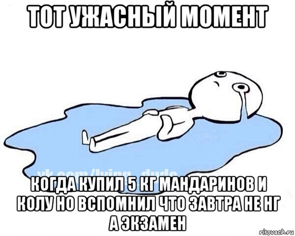 тот ужасный момент когда купил 5 кг мандаринов и колу но вспомнил что завтра не нг а экзамен, Мем Этот момент когда