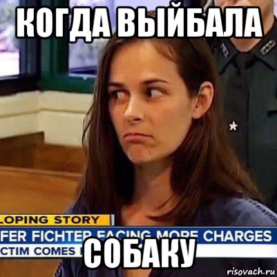 когда выйбала собаку