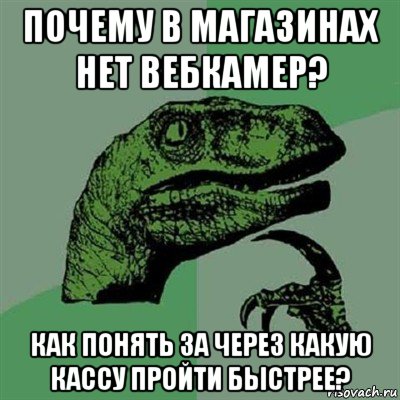 почему в магазинах нет вебкамер? как понять за через какую кассу пройти быстрее?, Мем Филосораптор