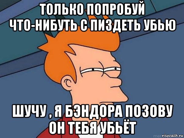 только попробуй что-нибуть с пиздеть убью шучу , я бэндора позову он тебя убьёт, Мем  Фрай (мне кажется или)