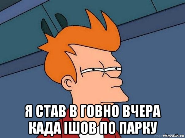  я став в говно вчера када ішов по парку, Мем  Фрай (мне кажется или)