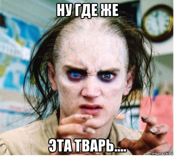 ну где же эта тварь...., Мем фродум