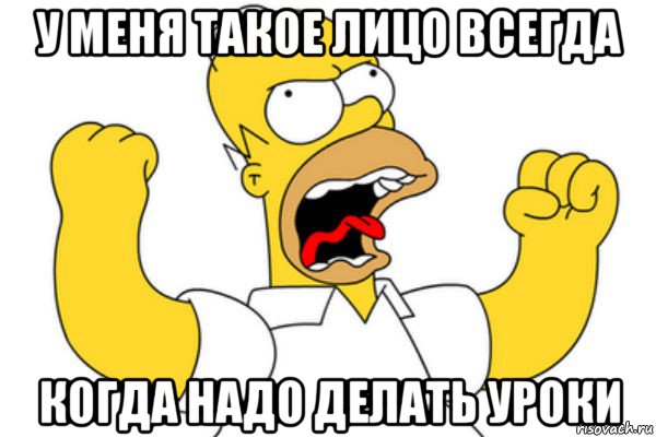 у меня такое лицо всегда когда надо делать уроки, Мем Разъяренный Гомер