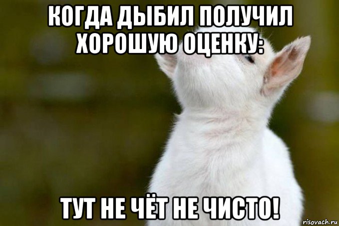 когда дыбил получил хорошую оценку: тут не чёт не чисто!, Мем  Гордый козленок