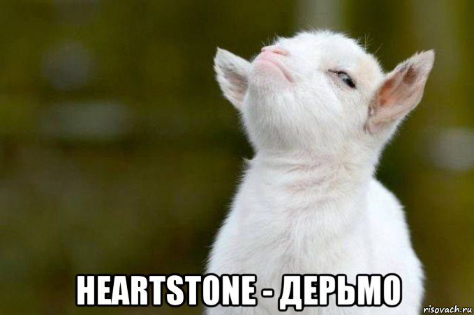  heartstone - дерьмо, Мем  Гордый козленок